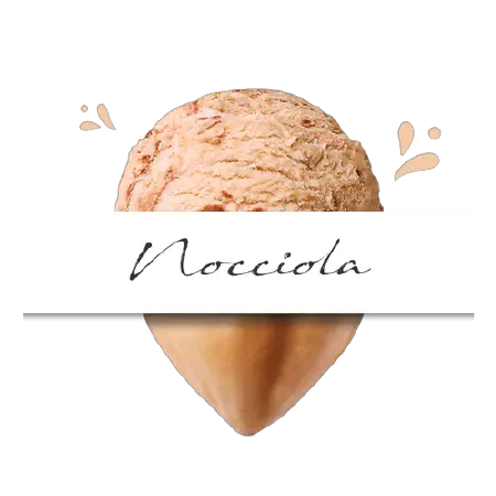 HAZELNUT